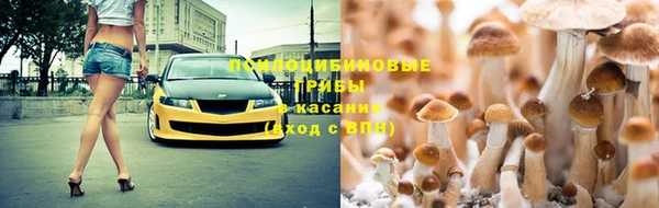 тгк Алексин