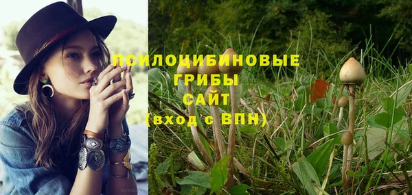 MESCALINE Алзамай