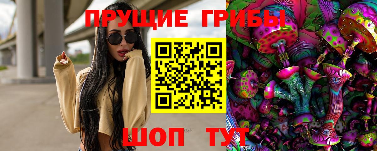 Псилоцибиновые грибы Psilocybe  Вход с VPN  Кулебаки  Галлюциногенные грибы MAGIC MUSHROOMS 
